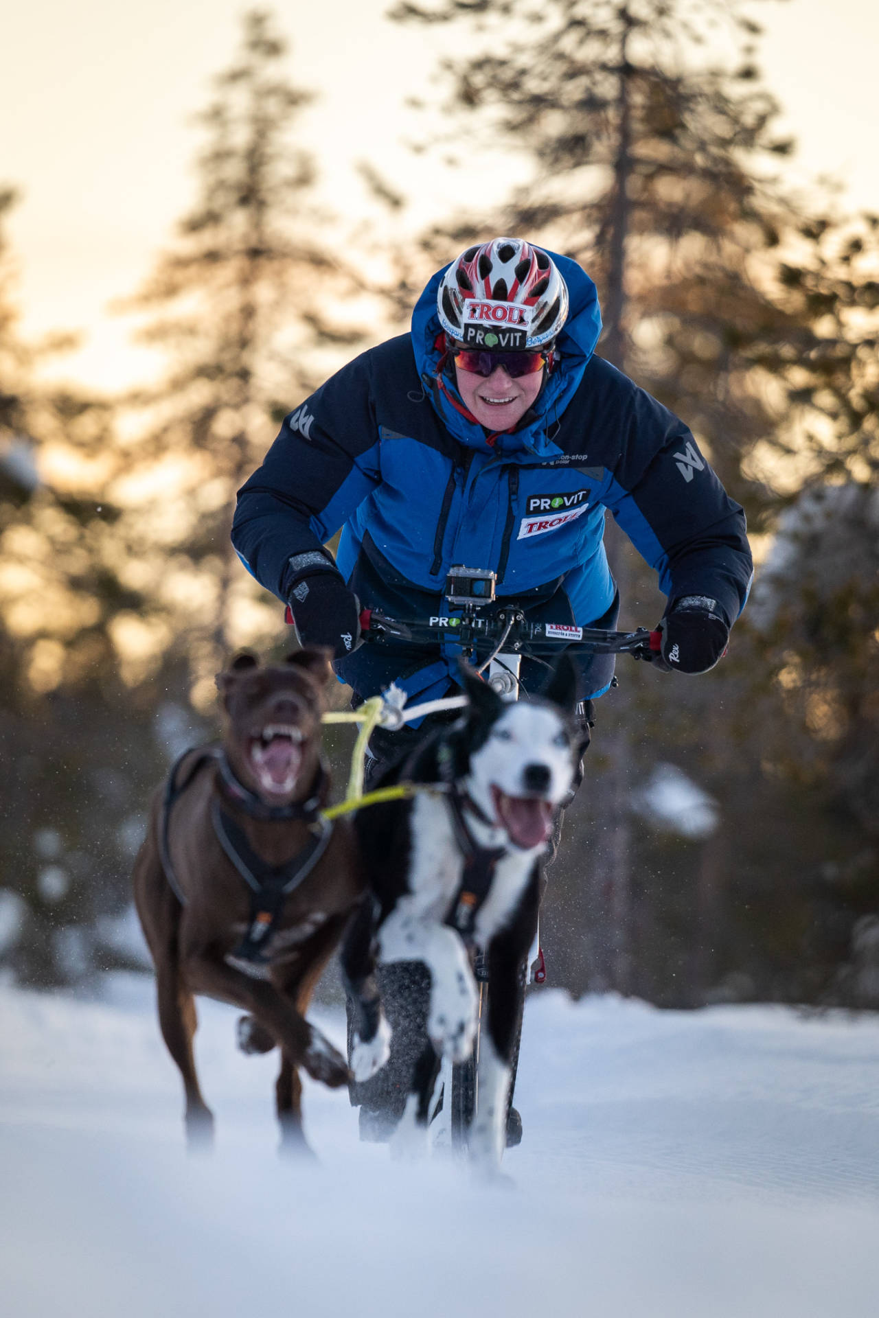 FELLES: Mor og sønn deler både hunder og lidenskap. Her er André i farta. Foto: Therese N. Andersen boysen5