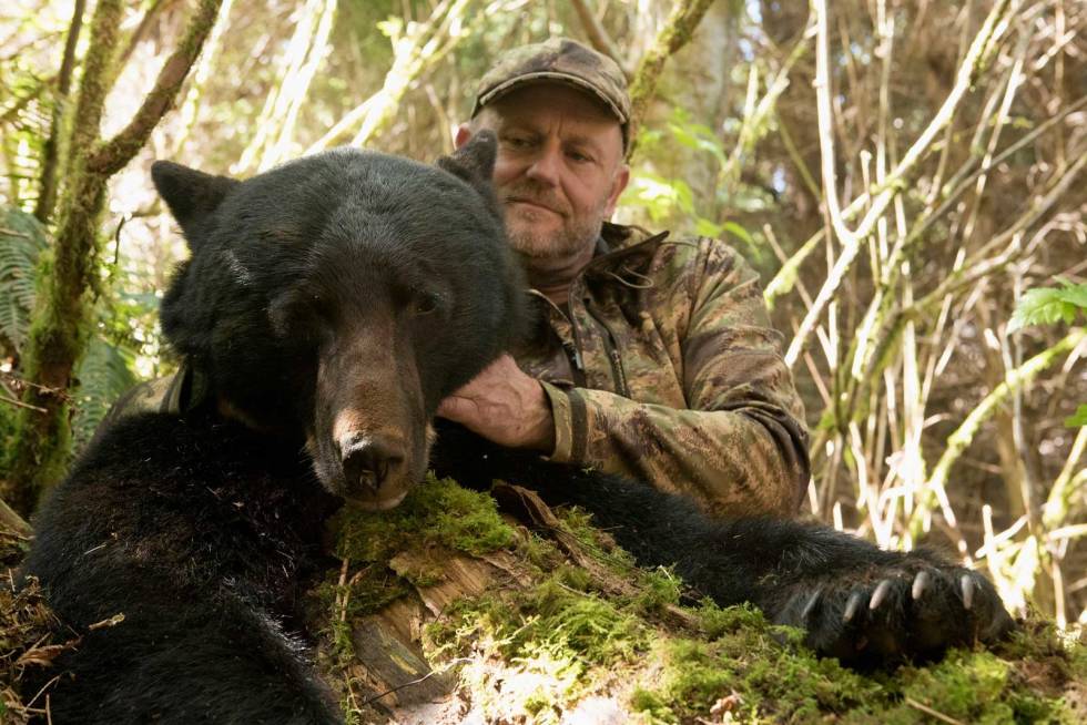 Klippekort: Bjørnejakta på Vancouver Island reguleres av et lisenssystem. Her skjærer sjefsguide Ryan Leef kortet på Jens' bjørn. British-Columbia-Bush-bjørnejakt-7