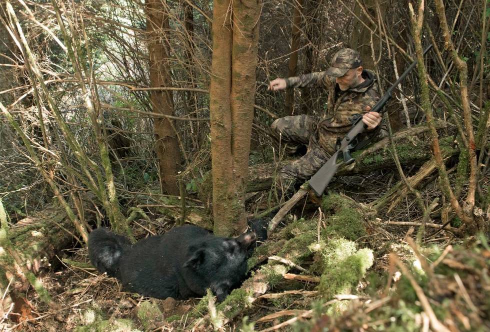 Raske skudd: Med rødpunktsikte og kaliber .300 WM er Jens og Ryan godt rusta for kjappe skudd i tett underskog. British-Columbia-Bush-bjørnejakt-9