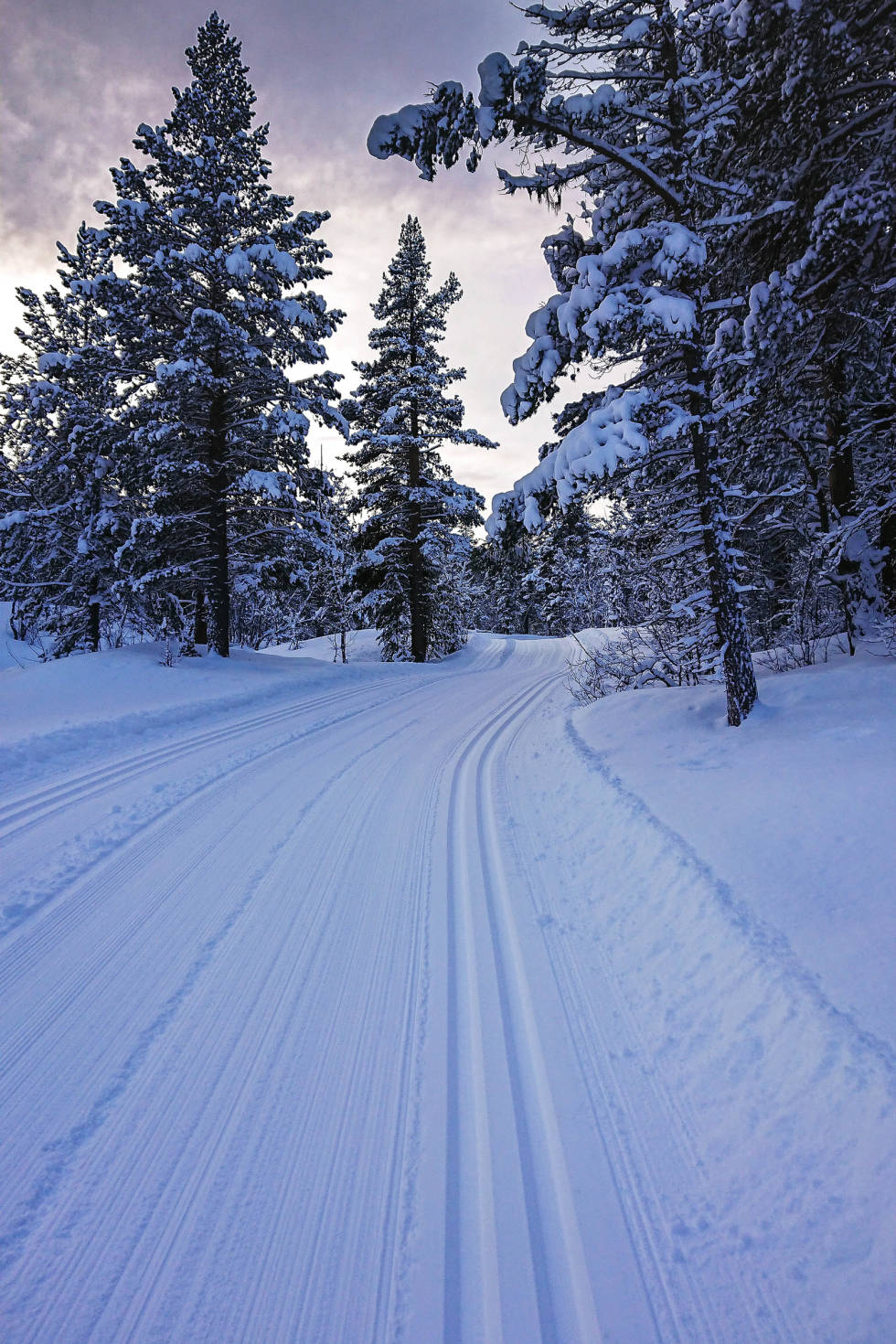 FIN RUNDE: Brøstdalen-løypa gås helst motsols. Foto: Matti Bernitz Pedersen Brøstdalen rånåkollen