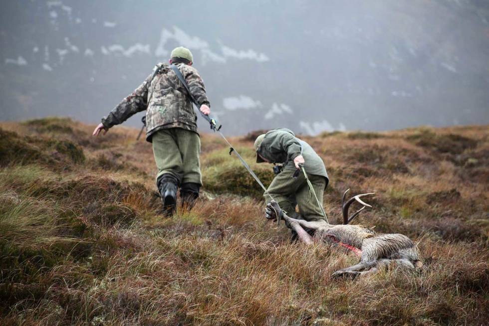 BLODSLIT: Det er slett ingen spøk å få dratt felte dyr ned til bilveien, men vi blir i alle fall varme igjen! Brunstjakt-Skottland-6