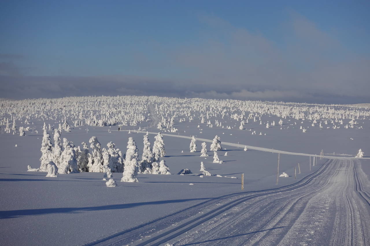LETTKUPERT: Fine forhold på Budor. Foto: Johan Christian Fischer Budor - Hedmarksvidda