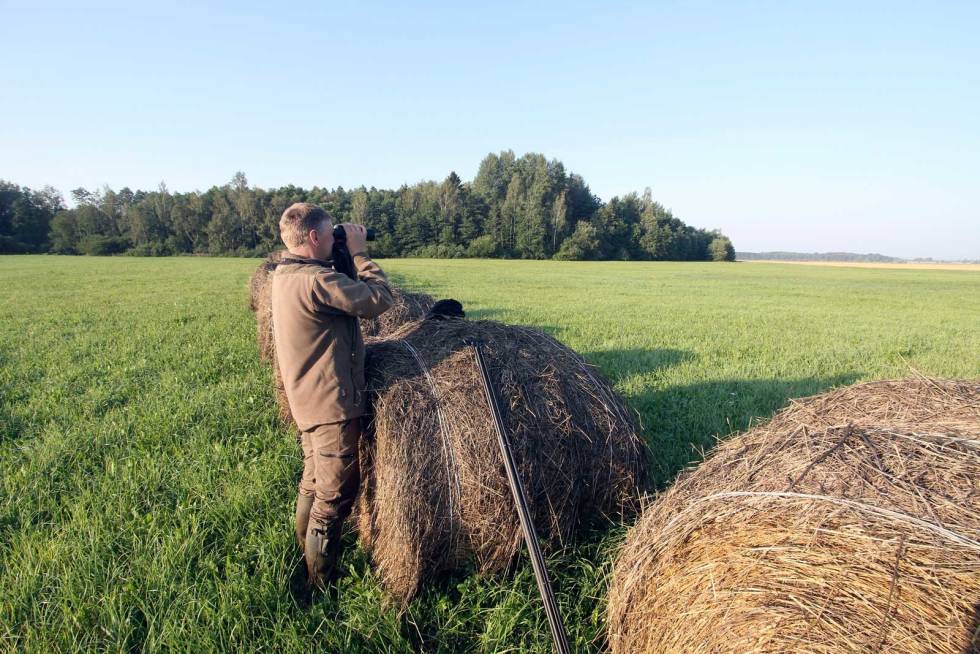 Vi ble lurt: Dainis speider etter monsterbukken som bare viste seg den ene gangen. Bukkejakt-i-Latvia-8