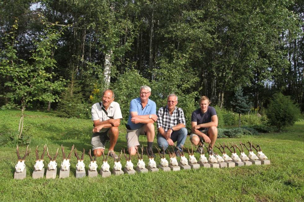 Tre heftige dager: 23 bukketrofé (ett mangler) samlet foran fire svært fornøyde jegere. Abraham (f.v), Johan, Trond og Jarle. Bukkejakt-i-Latvia-9
