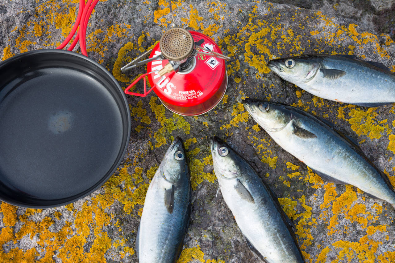 VARSOM MED FLAMMEN: Med en brenner av denne typen, som har en smal og konsentrert flamme, må man være svært forsiktig ved bruk av stekepanner med tynn bunn. Foto: Jon Olav Larsen lyr fisketur turmat