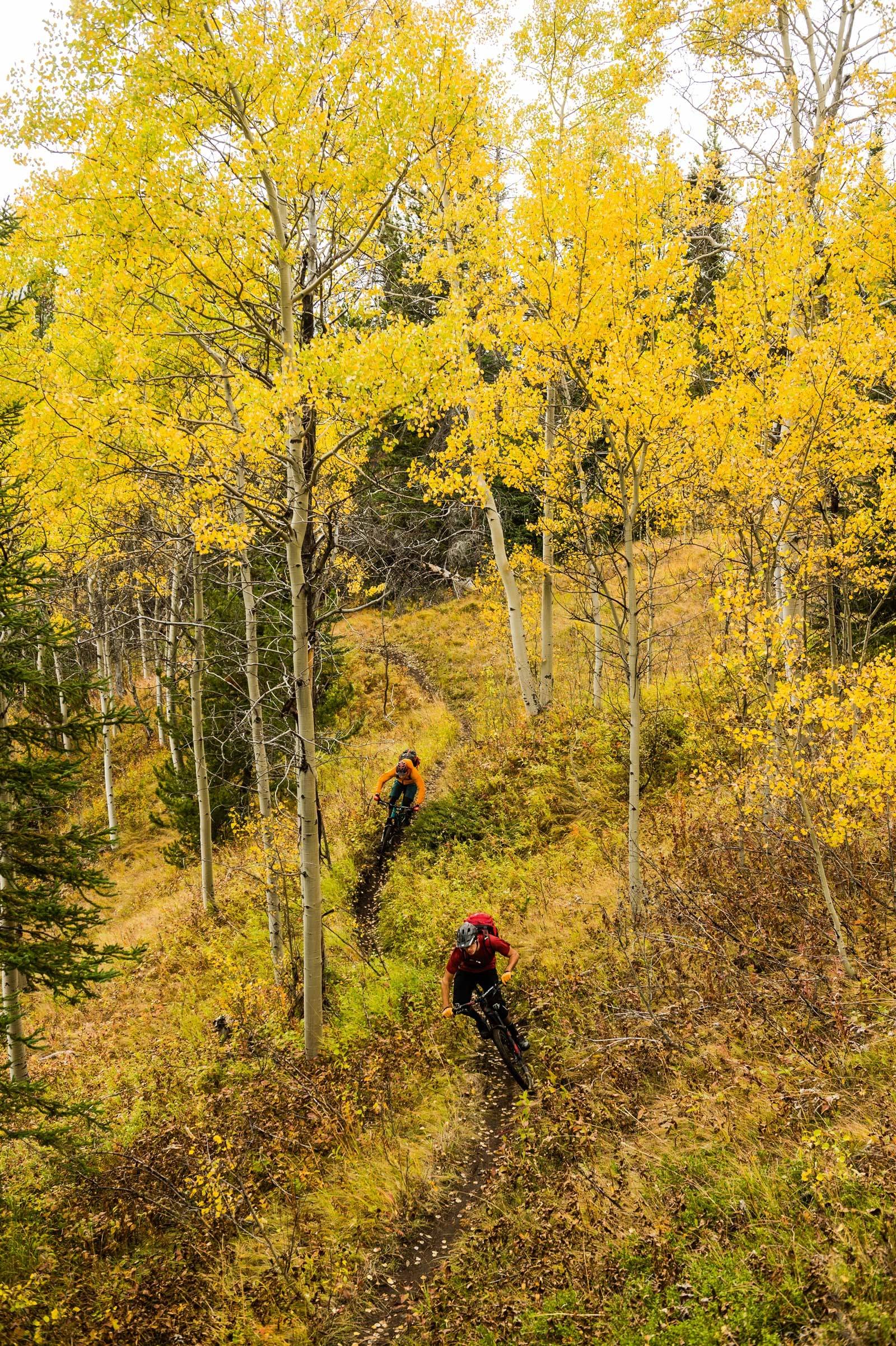 GULT LANDSKAP: Stephen Matthews og Ross Measures nyter flyten av stien som går gjennom The Potato Patch og høststemningen i nærheten av Spruce Lake. Chilcotins-Canada-Stisykling-12