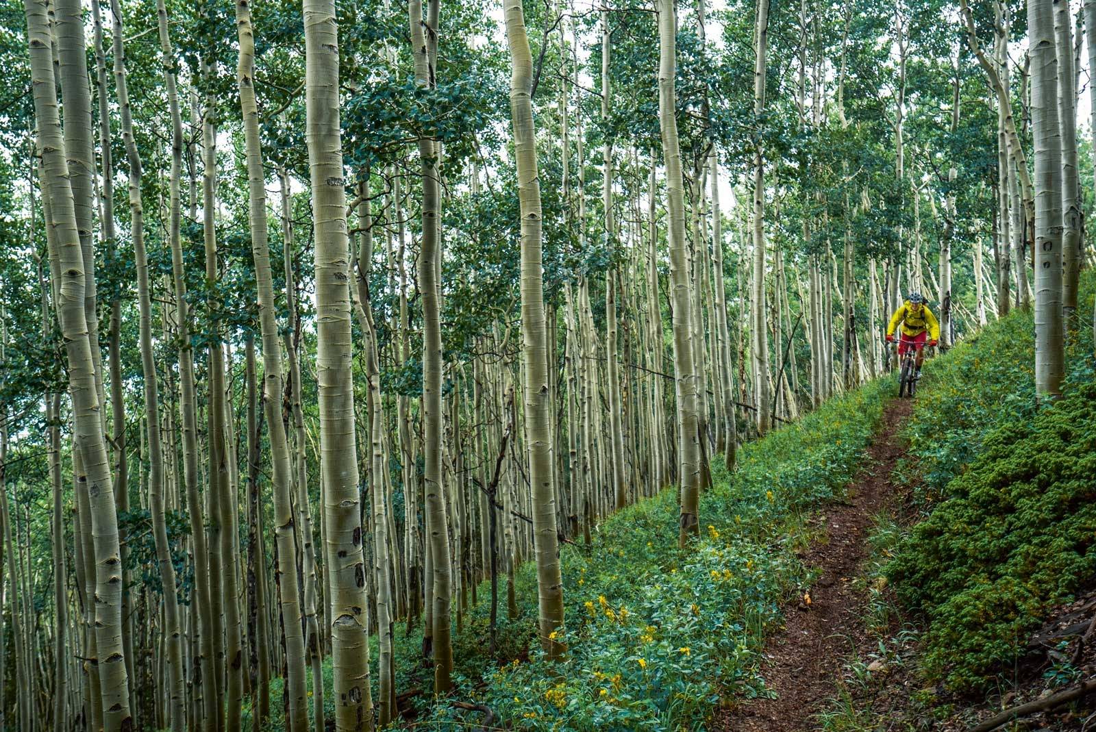 varierte dager: Hver dag betød nye typer landskap, og turen gikk både under og over tregrensen. Colorado-Trail-8
