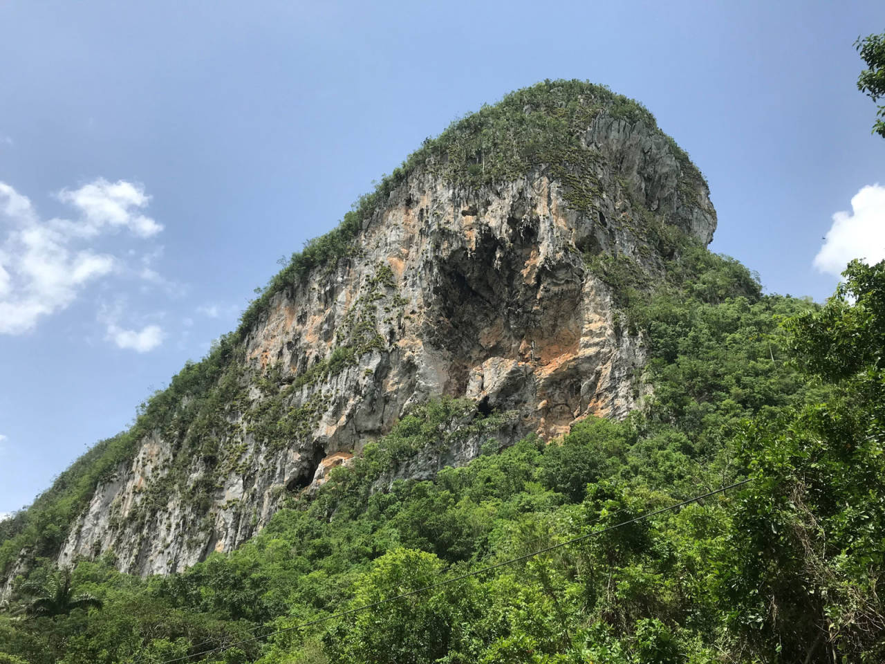 MR MOGOTE WALL: En av de store klassikerne i Viñales, «Mr Mogote», 7a+, 5 taulengder. Cruxpassasjene finnes du i fjerde taulengde. Den har fått navnet «Tufa Paradise». Ruta ble gått første gang av Craig Luebben og Cameron Cross i 1999. Ruta går rett opp veggen til venstre for hula. Foto: Iver Gjelstenli Cuba-Klatring-4
