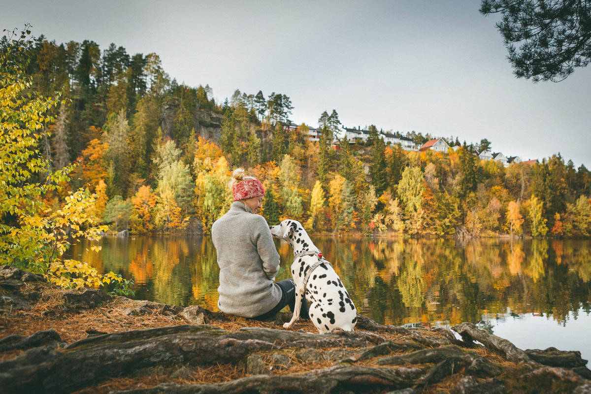 GODE VENNER: Hunden skal fungere og passe inn på tur, men aller viktigst er det at den passer inn i den generelle hverdagen dere har sammen. Foto: Therese N. Andersen dalmatiner
