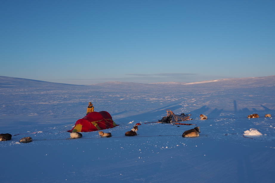 VINTER OG VÅR: Kveldssol innerst inne i Øvre-Dividal nasjonalpark. Foto: Frida Brockmann Dividalen