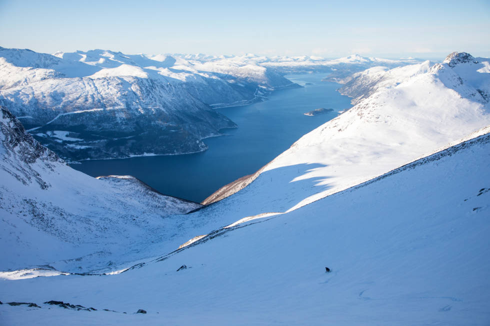 Trygve Sande kjører Mot fjorden - med Sunndalsfjorden i bakgrunnen. Foto: Tore Meirik dronninga topptur sunndal