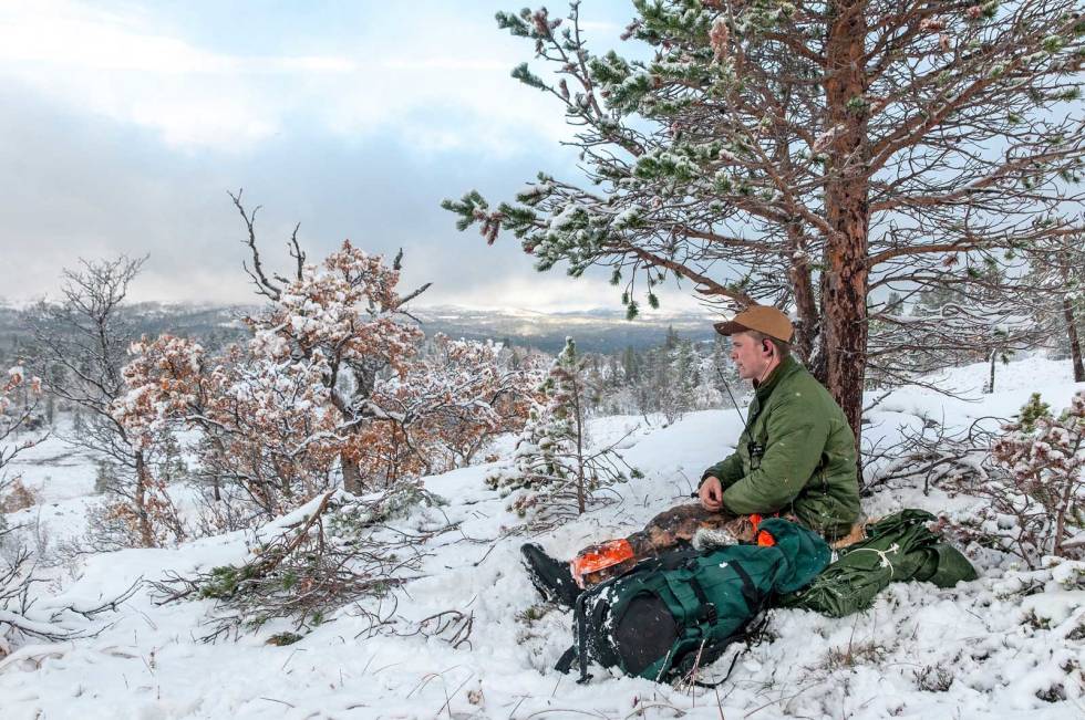 Stille post: Det er fredelig og stille opp i skogbandet, men Ole Aleksander hører losen nede i lia og venter på elg. Elgjakt-Budal-Trøndelag-2