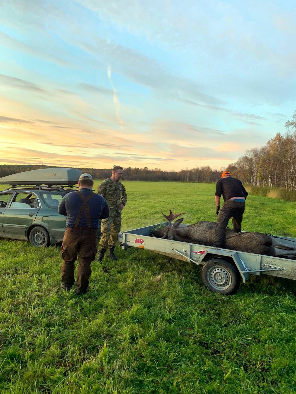 Aften rød varsler elgens død: Et Ringenes Herre-sitat sier noe om rød himmel og blod. Det er uvisst hvor mye sannhet som ligger i det, men ferdes du i Pasvik på denne årstiden, kommer myggen og annet småkryp på gjestebud om du viser bar hud. Foto: John Aas Elgjakt-i-alaska-7
