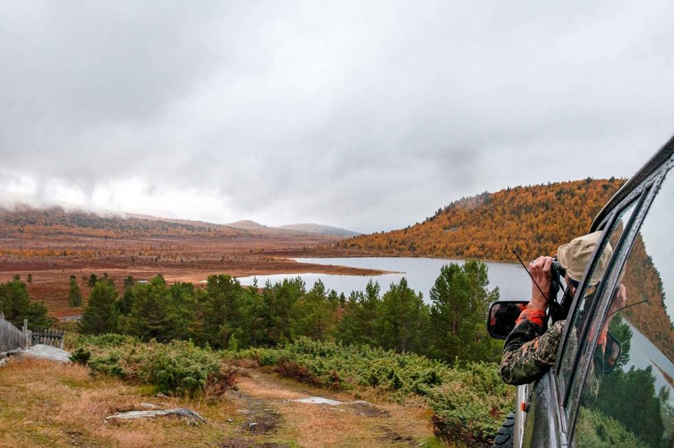 Mørk morgen: Rune er ute og kikker fra bilen. Allerede nå kan vi konstatere at det blir en våt jaktdag. Elgjakt-Laushundjakt-Gudbrandsdalen-2