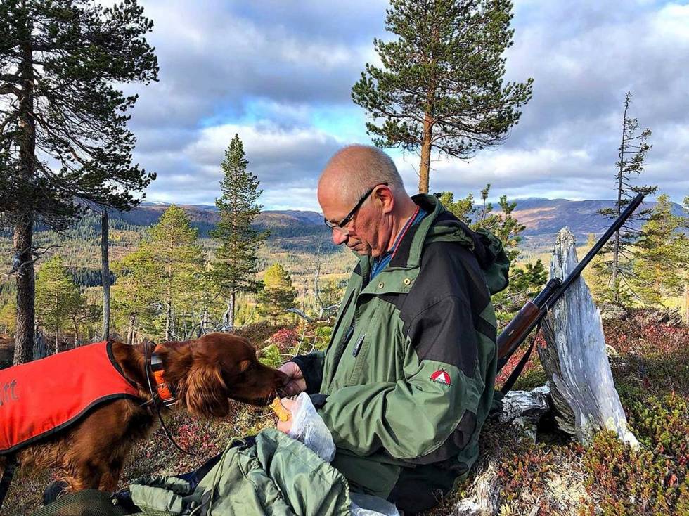 @erlingsivertsen: Stærkaste og staeste person e veit om! For 2 uka sia fikk han hjerteinfarkt og i dag va han mæ på rypejakt. Bedre far å forbilde får du ikke erlingsivertsen