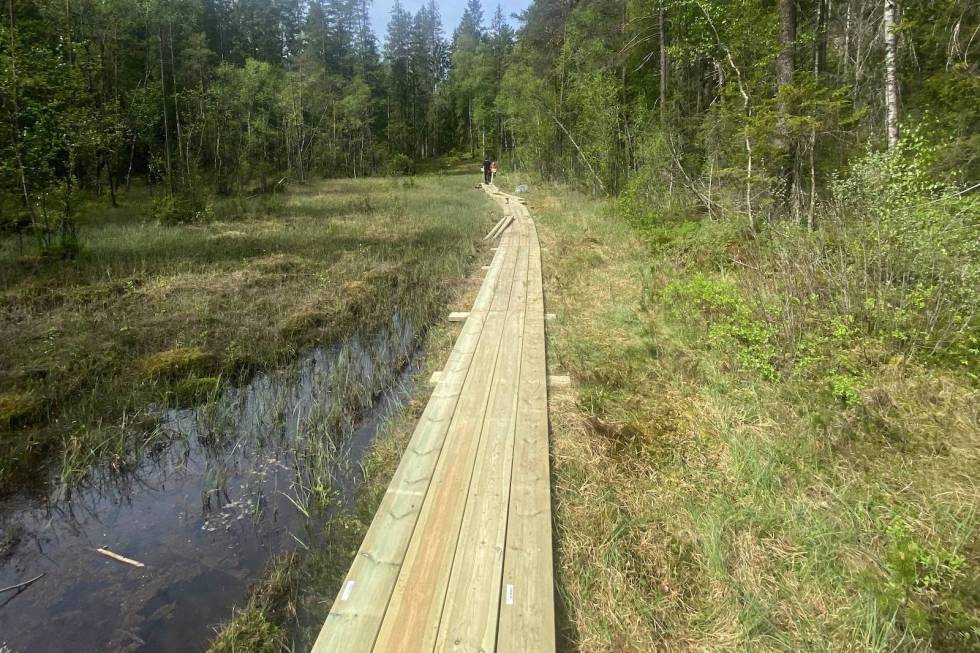 ETTER KLOPPEDUGNADEN: Slik er området på Slettåsen blitt etter at NOTS Follo og de andre lokale aktørene var ferdige med kloppedugnaden. Foto: Endre Løvaas Klopping Slettåsen NOTS Follo