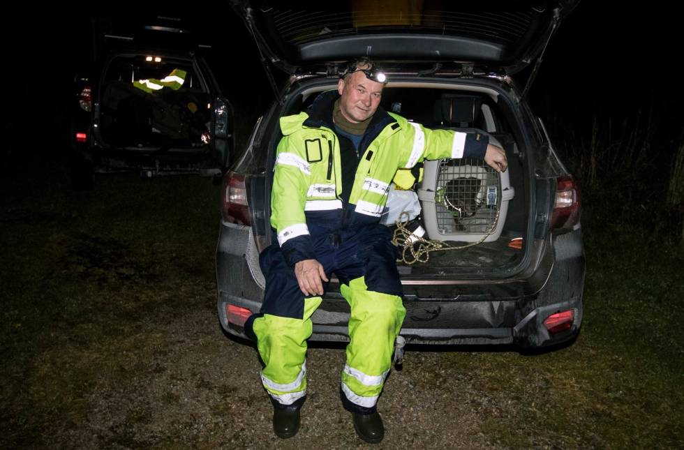 ROLIG: Tilbake i buret i bilen roer hunden seg ned etter hvert. Ettersøksekvipasjen kan se tilbake på et vellykket ettersøk. Ettersøk-Hitra-5