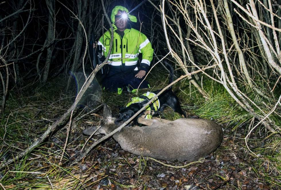 NEKTER: Hadri nekter å slippe, selv når Robert forsøker å dra ham unna. Ettersøk-Hitra-6