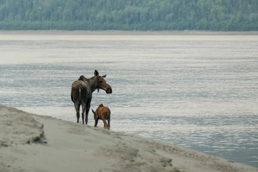 eventyrlig bryllupsreise