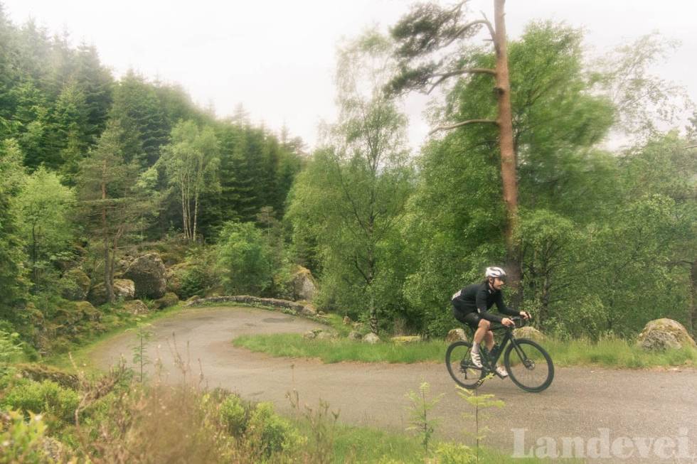 STUPBRATT: Peter Gløersen på vei opp en av Norges bratteste bakker, Tronåsen. Denne bakken vil være praktisk talt umulig å evereste i. Foto: Henrik Alpers. everesting-bakke