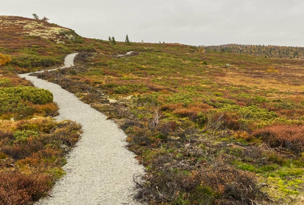 SMÅKUPERT: Den nye grusstien følger terrengets kurver, og er ikke flatet ut for å tilfredsstille en typisk bilvei. Fanitullvegen-på-grus-gravel-1