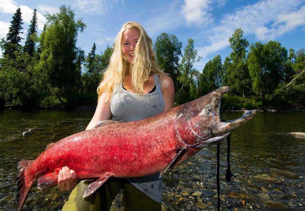 Helt konge: Det er kongelaks på denne størrelsen som får mange til å drømme om fisketur til Alaska. Alle fikk holde da vi fikk en på land - her campvertinne Ingebjørg Fyrileiv Guldvik. Fiske-i-Alaska-8