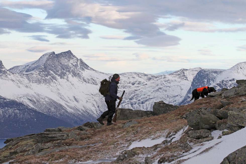 PÅ SPORET: Mira og far har ferten av fugl. – Nå gjelds det å nærme seg rypene motbakke, sier Trond, et råd Mira har tenkt å følge. Fjellrypejakt-6
