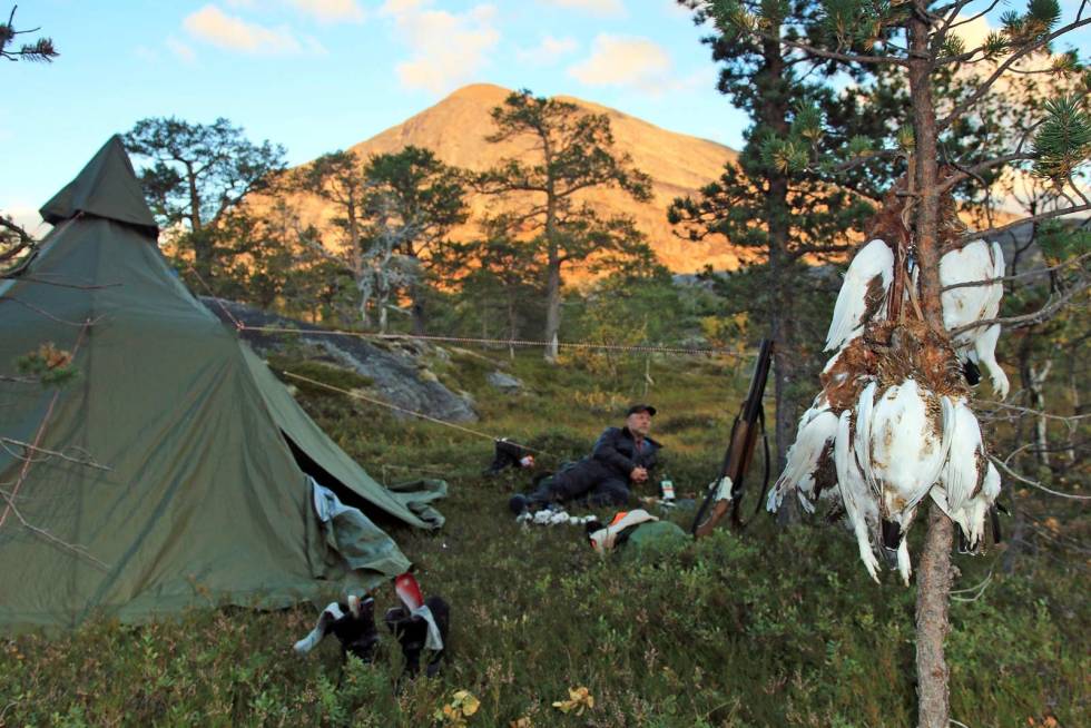 EVIGVARENDE JAKTMARKER: Omkranset av steile nordlandsfjell ligger lavvoen der, midt i et bortgjemt paradis hvor få ferdes. Fjellrypejakt-6