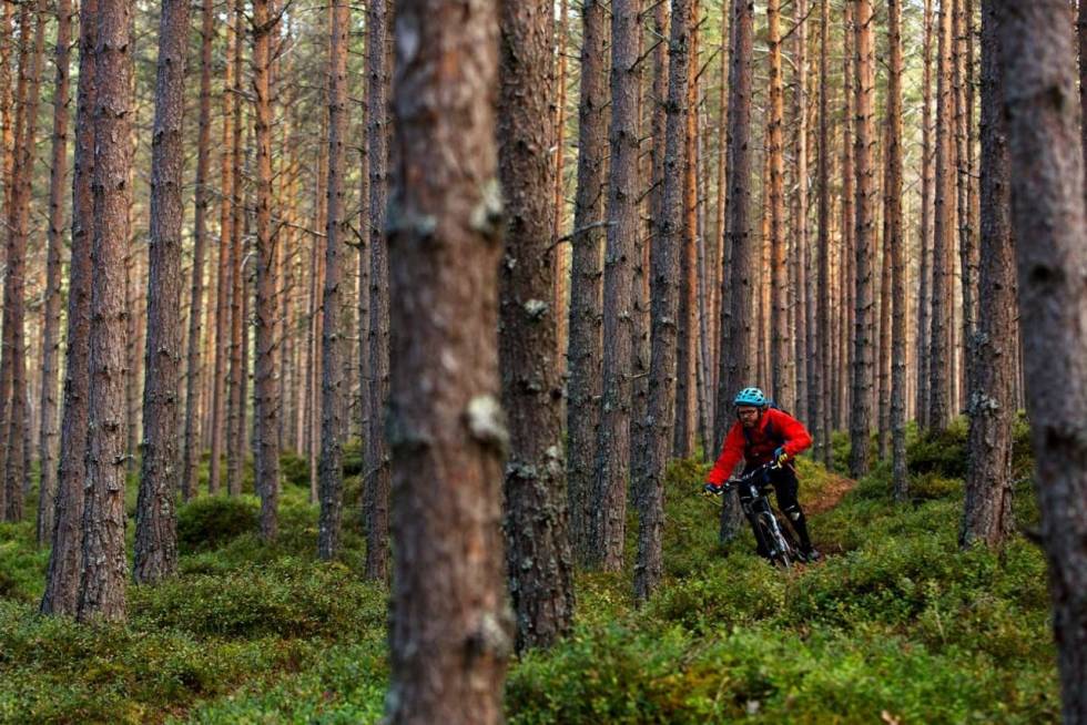 FLYT: Flyplasstien har mye til felles med stiene på motsatt side av Kaupanger stisykling i sogndal, flyplassen