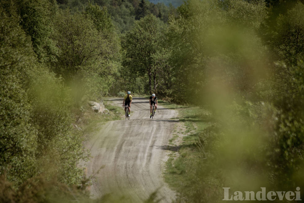 I BJERKESKOGEN: Marius Nilsen (t.v) og Gjermund Jordheim har ennå langt igjen til toppen. Foto: Henrik Alpers fr-2