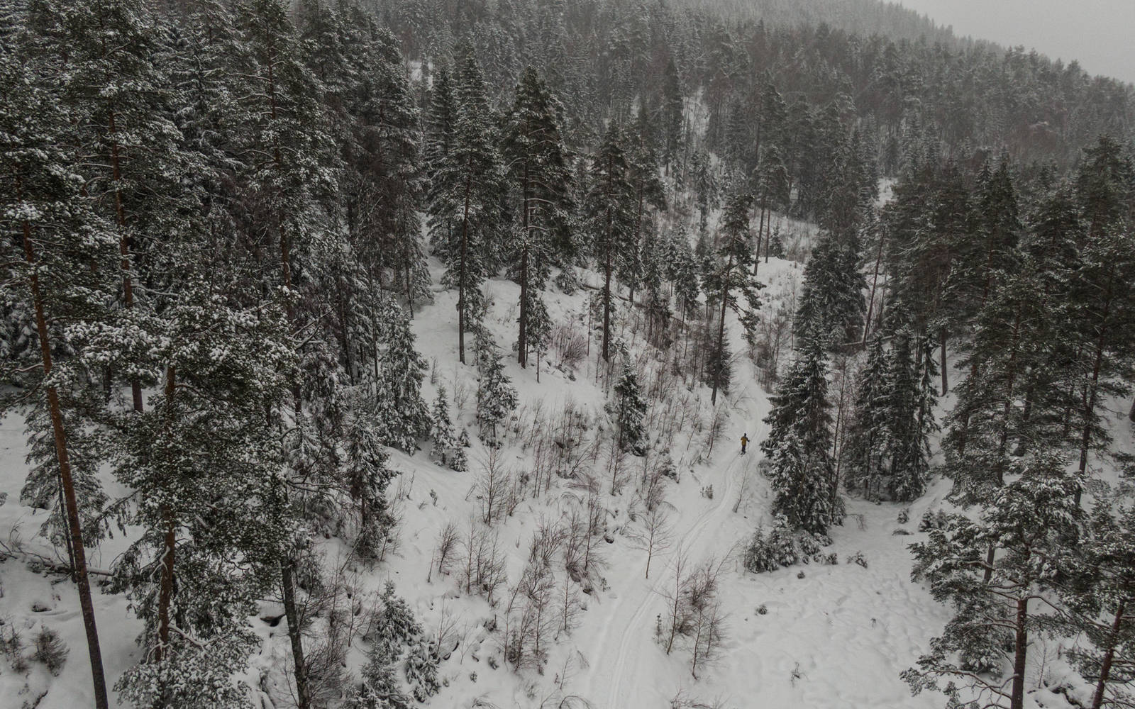 INN I SKOGEN: Randoløypa går i et variert terreng med en skikkelig følelse av å være på tur. Kanskje i motsetning til å du trasker rett ved siden av en heistrasee. Bilde: Christian Nerdrum INN I SKOGEN: Randoløypa går i et variert terreng med en skikkelig følelse av å være på tur. Kanskje i motsetning til å du trasker rett ved siden av en heistrasee. Bilde: Christian Nerdrum