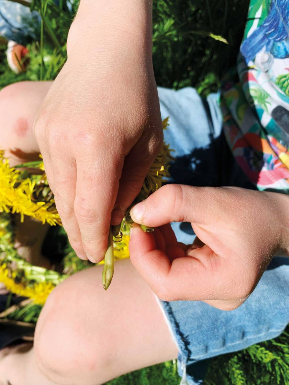 BLOMSTERKRANS: Løvetann er ikke bare ugress. Friluftsflokken-4