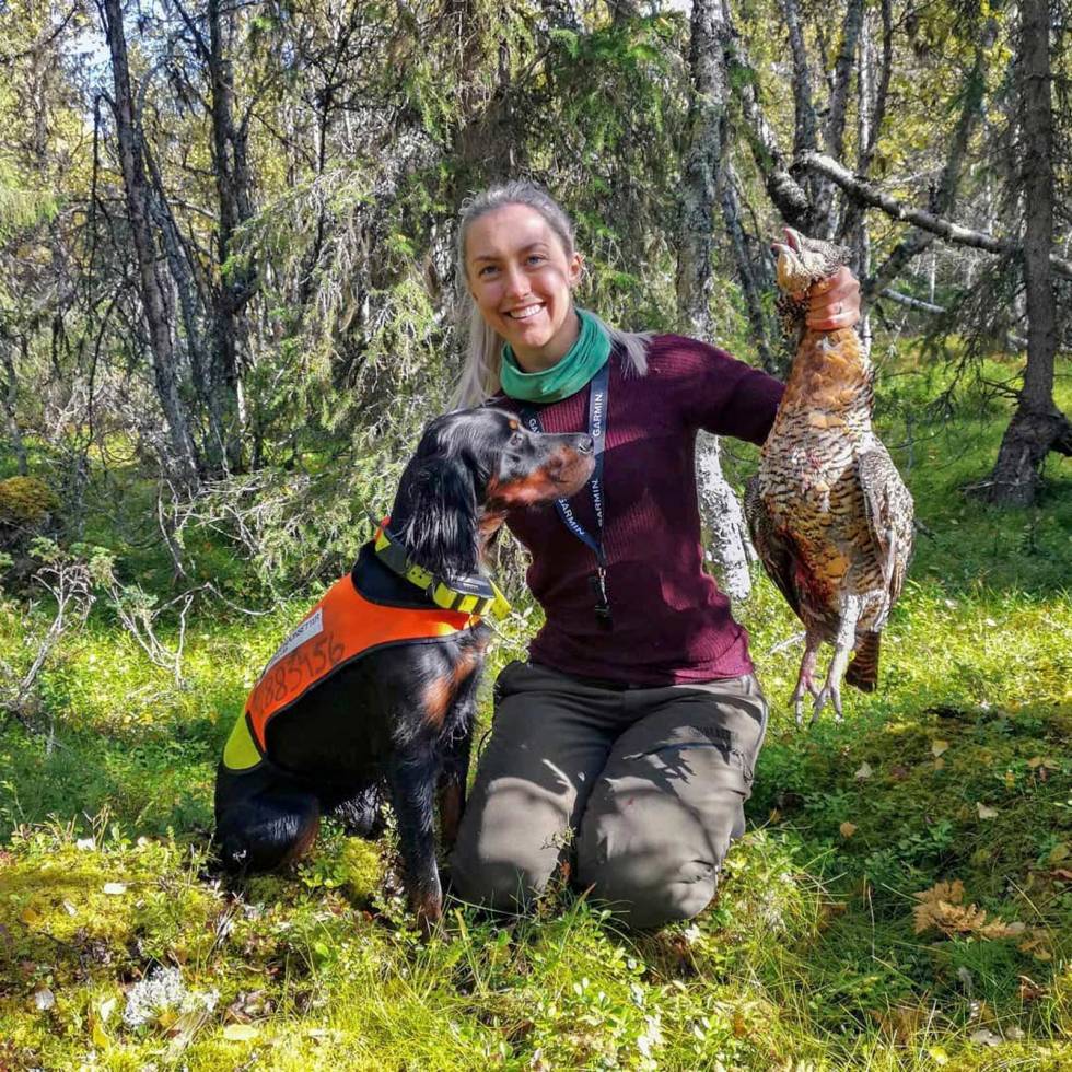 @frkannkristin: Første dag på skogsfugljakt, og for en start! Det blir noen bom fra personen bak børsa, men når Luna virkelig gjør jobben bra og tar stand, så sitter skuddet. Det ble ei fin røy og ikke minst en veldig fornøyd og stolt eier! Ubeskrivelig moro å se sin første fuglehund få sin første fugl!! Spesielt imponert at hun i tillegg apporterte og leverte den store fuglen til tross for vingene som flakset. Gratulerer til skytter @gj3rde, som klinket til med et perfekt skudd! Frkannkristin