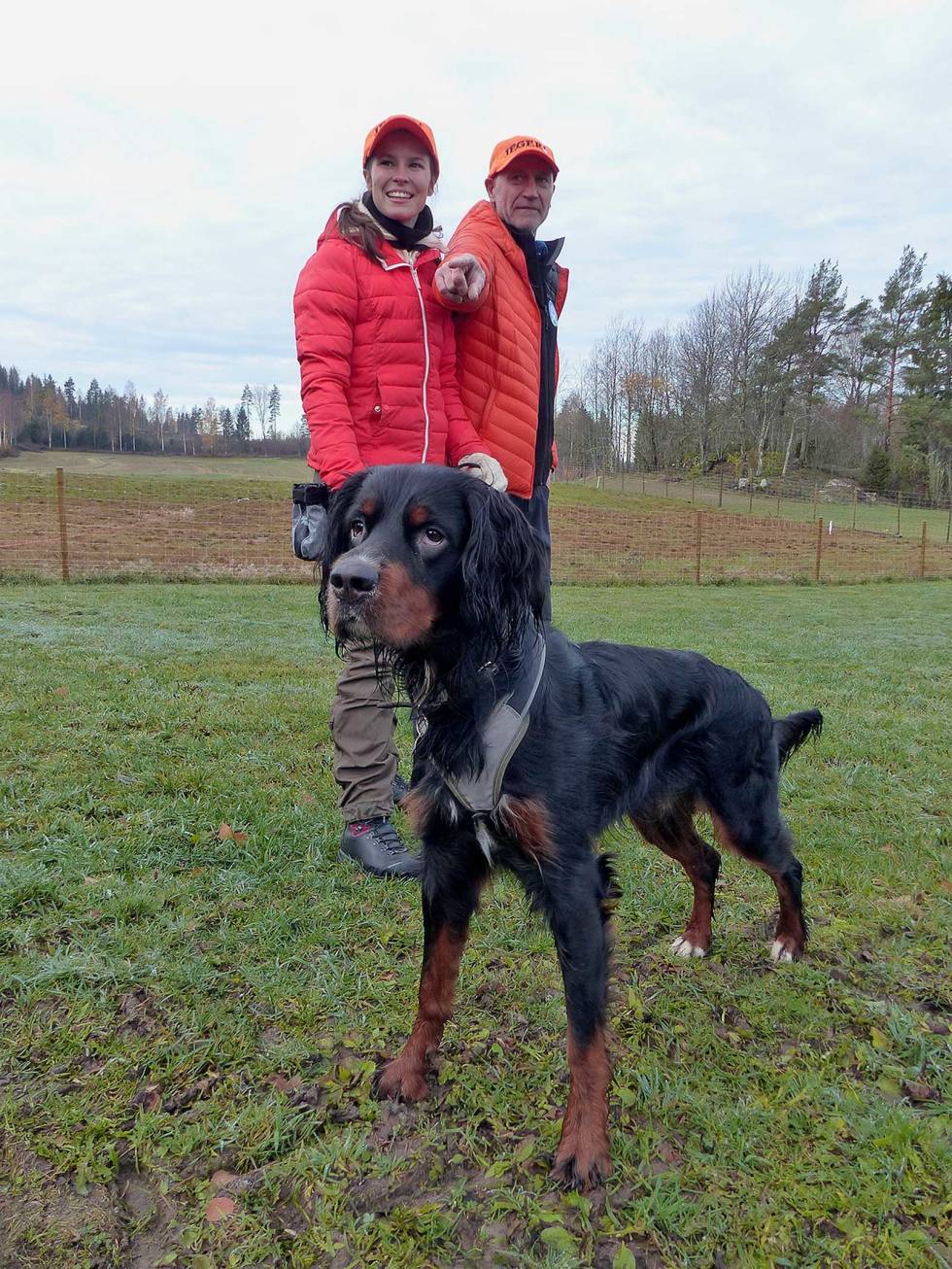 Fokus, fokus, fokus: Emilie Sissener og hunden GS Rumle følger nøye med på hva instruktør Tor Espen Plassgård forteller. Fuglehundsamling-5