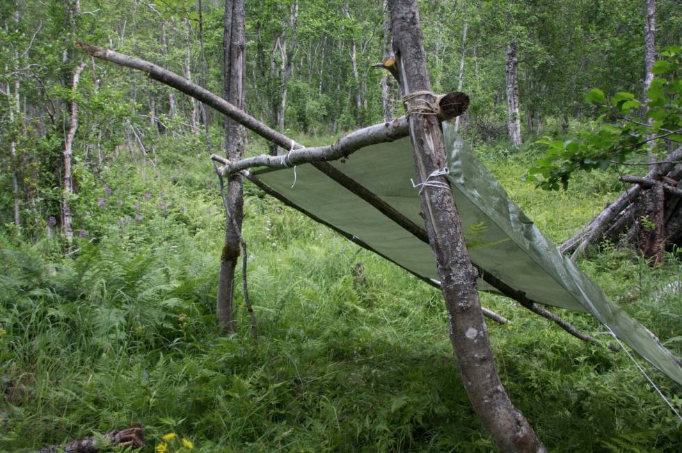 En gapahuk er temmelig lett å lage, og koster ikke mer enn prisen av en presenning fra din lokale isenkram. Gapahuk utemagasinet