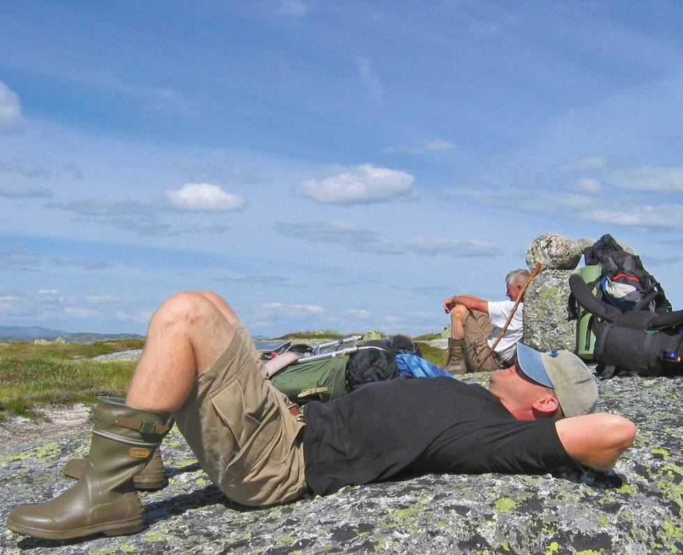 Naturen løper ikke fra deg. Ta deg god tid i fjellet! Foto: Harald Flå Gaukhei-Sentralt-i-Seterdal-Vesthei-Harald-Flå-1
