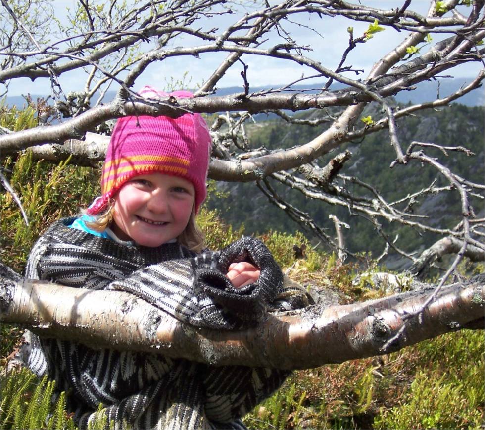 Fra toppen av Gjevdenuten. Foto: Arendal Turistkontor Gjøvdal-Arendal-Turistkontor-1