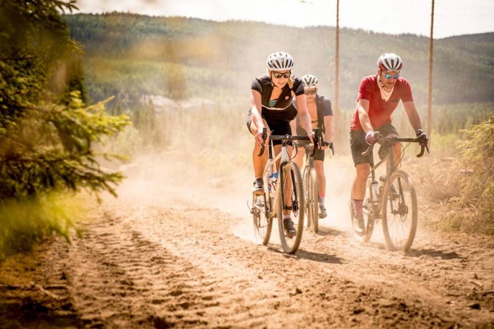 GRAVEL: På dette bildet ser du tre sykler med helt forskjellig tilnærming, selv om de fra denne avstanden er helt like. Foto: Henrik Alpers. sykle gravel i nordmarka