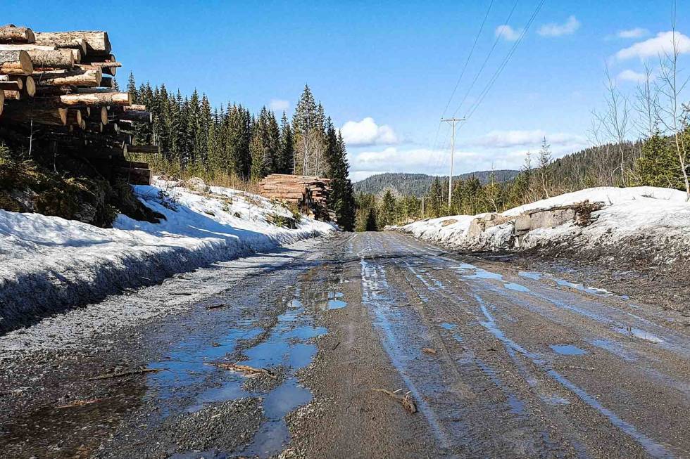 GJØRMEBAD: Løvenskiold kjører som vanlig tømmer etter flatehogst, noe som gir sørpete veier. Foto: Torkel Thorsen. sykle gravel i nordmarka