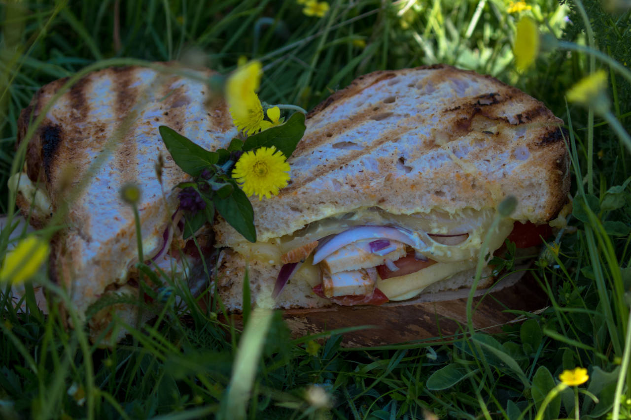 SANDWICH MED KARRI-DRESSING: Nytes kald eller varm. Foto: Sigrid Henjum grilla sandwich