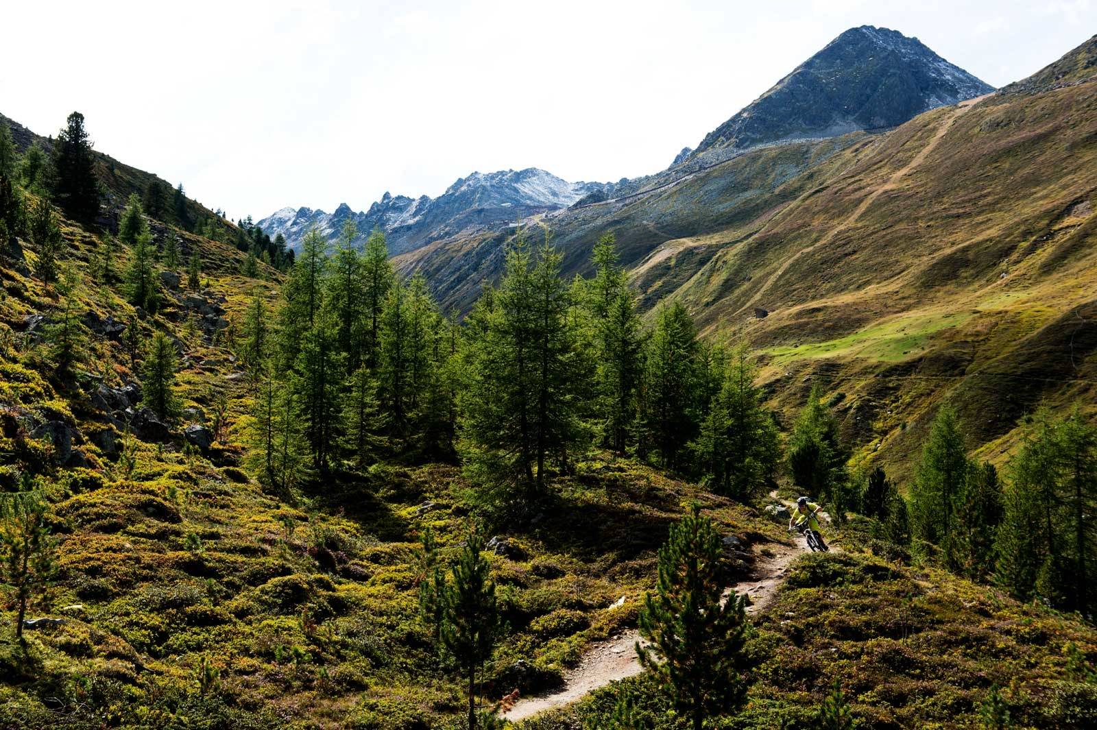 Under tregrensa: De fleste forbinder alpene med mye stein og høye fjell, men det finnes også førsteklasses skogsstier, slik Karen Eller og Holger Meyer sykler på her ved Ötztal. Guide-til-stisykling-i-Alpene-6