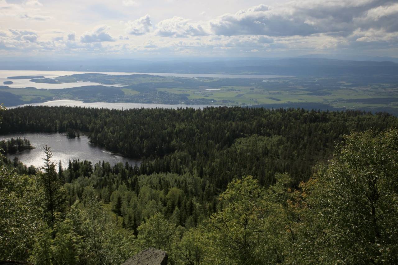Sørvest for Gyrihaugen ligger et idyllisk lite vann som bærer det mindre idylliske navnet Migartjern. Gunnar Kagge/www.kagge.net Gyrihaugen ligger et idyllisk lite vann som bærer det mindre idylliske navnet Migartjern. Gunnar Kagge/www.kagge.net
