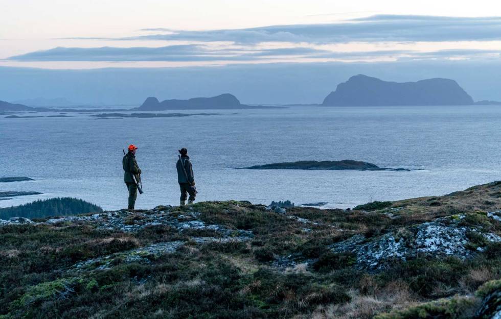 Kveldsmagi: På jaktas første dag har vi noen timer med roligere vær utover kvelden, og benytter anledning til å sjekke ut høydene. Alden, også kjent som Den norske hest, hviler salrygga i havgapet mens den beiter på havbunnen. Harejakt-på-Askrova-7