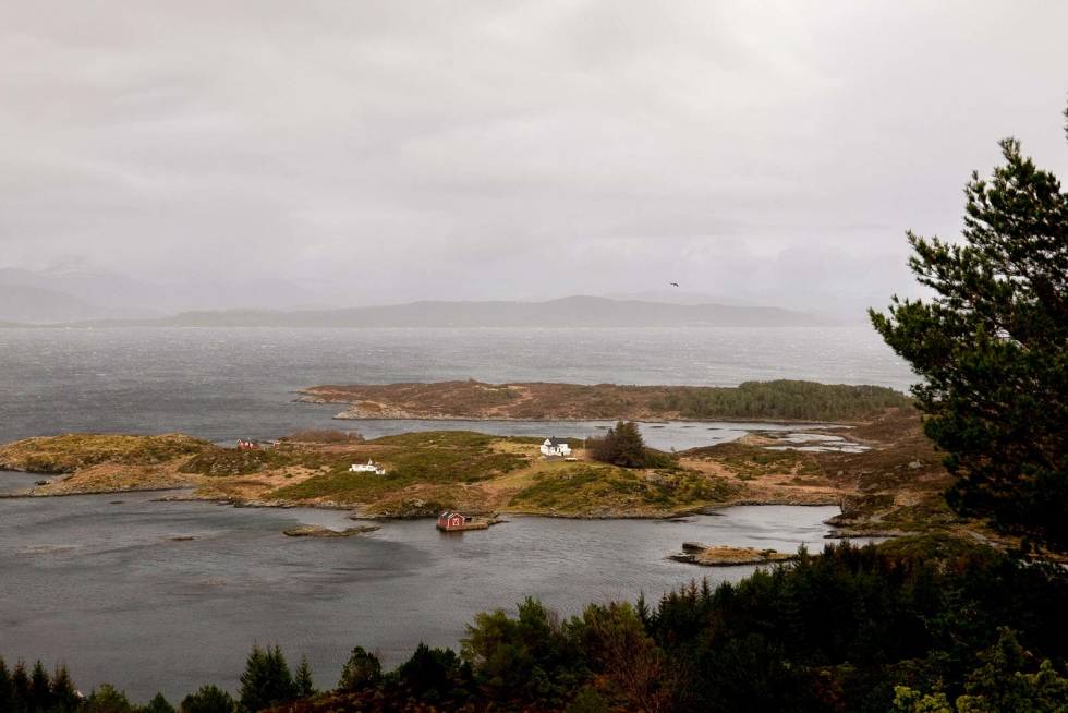 Majestetisk: Ei ørn duver elegant og uberørt i kulingkastene, mens vindrossene tegner krusseduller på vågen. Harejakt-på-Askrova-9