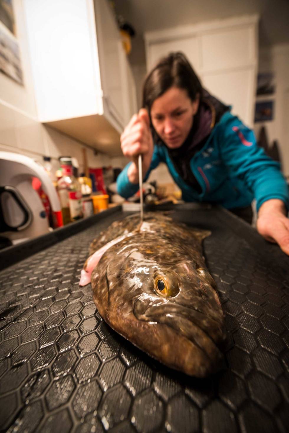 Matauk: – Jeg elsker fisk, sier Ines Papert. Her svinger hun kniven over en kveite. Foto: Thomas Senf Havets-vinterparadis-senja-5
