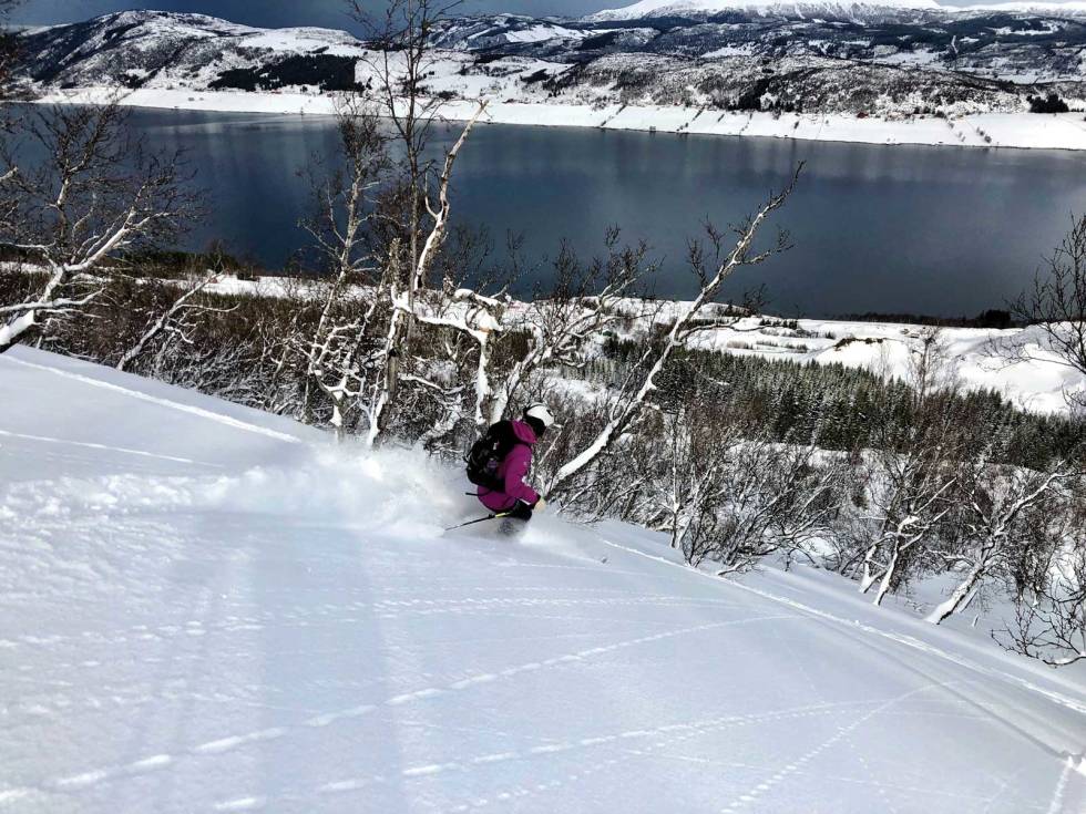 Hemmestadfjellet er populær siden skogen ikke er så tett og at man kan kjøre helt ned til veien. Her er det Lena Charlotte Nilsen som nyter pudderet. Hemmestadfjellet-Kvæfjord-Sortland-2