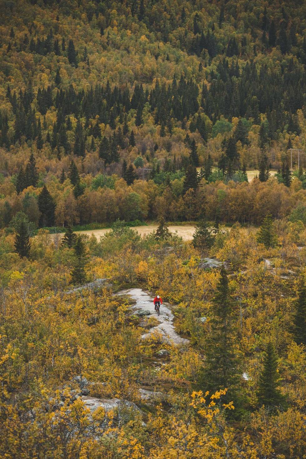 BRA MED SVA: Karisetberget er en kort men veldig fin tur som kan sykles fra sentrum i Hemsedal. Oskar Brodin er på vei mot utsiktspunktet. Hemsedal-stisykkel-stier-1
