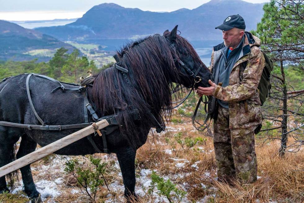 Mens vi venter: Tid til litt godprat mens kjøttbøra gjøres klart. Hest-på-hjortejakt-8