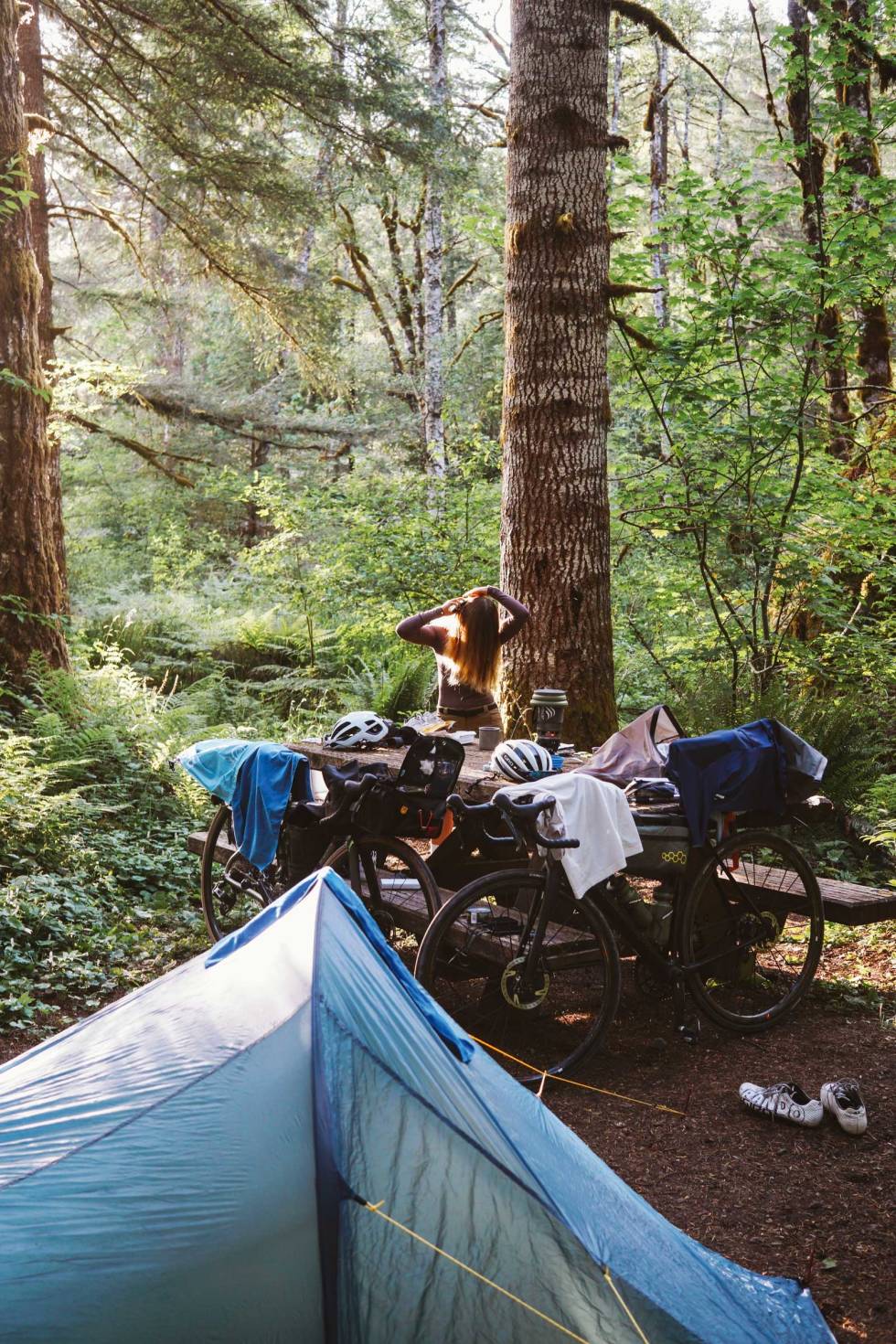 CAMPINGLIV: Vår første overnatting i telt på Big Creek Campground i Washington. Highway-1-California-på-sykkel-2