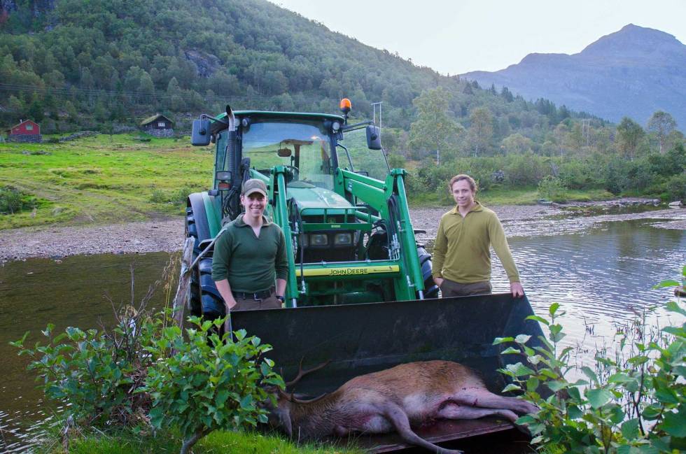 Grei kjøttbør: Siste biten ned fra fjellet fraktes hjorten med traktor. Robin og Thomas er godt fornøyd med morgenen. Hjortejakt-4